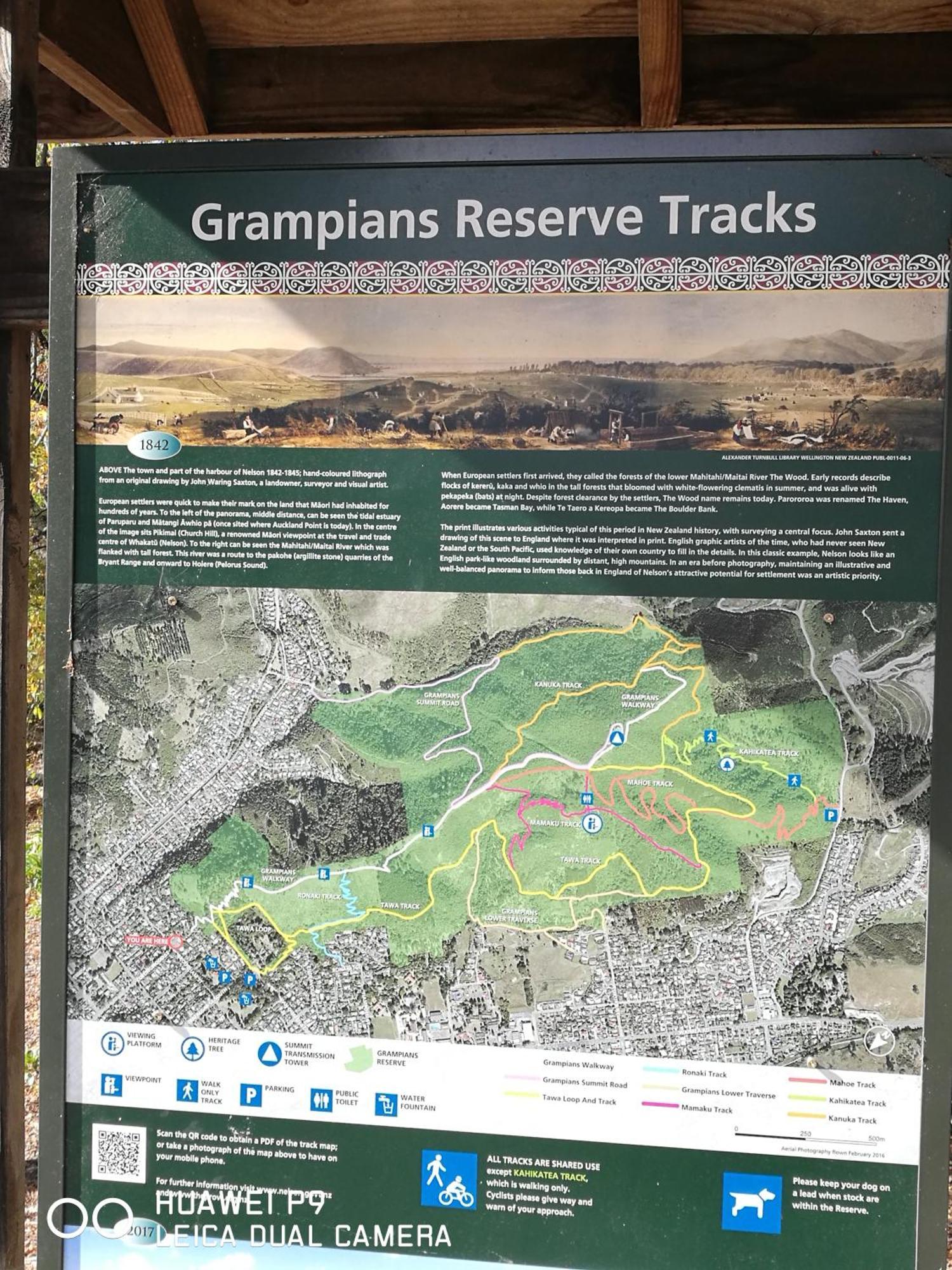 CBD Grampians studio Nelson Esterno foto